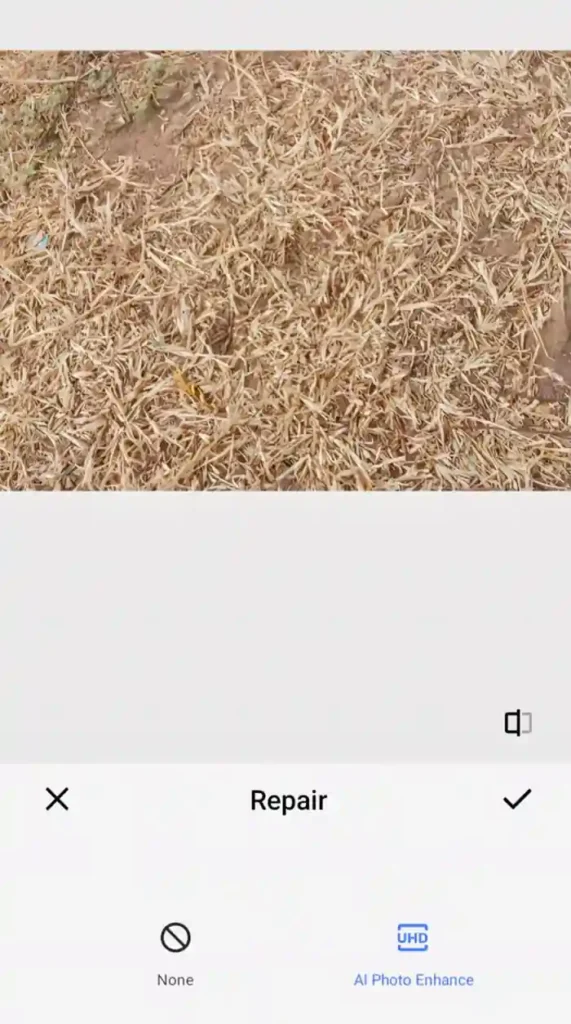 AI Photo Enhancement