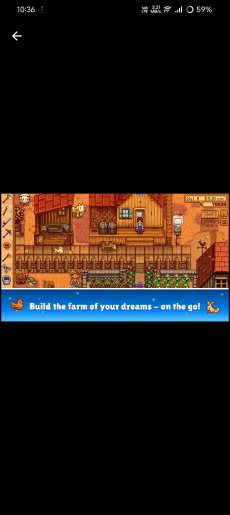 stardew valley